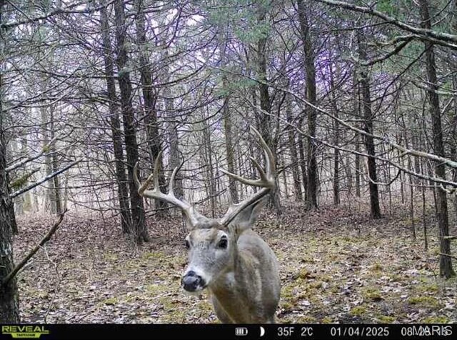 Turley Road, Plato, MO 65552 - photo 29