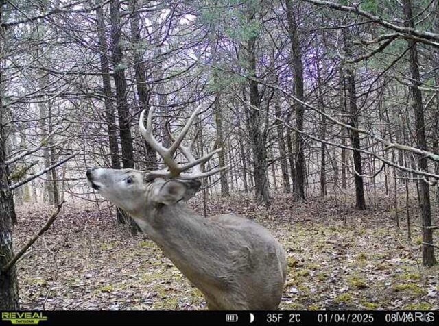 Turley Road, Plato, MO 65552 - photo 30