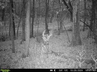 Turley Road, Plato, MO 65552 - photo 31