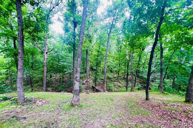 42171 Cedar Crest Pl, Perry, MO 63462 - photo 5