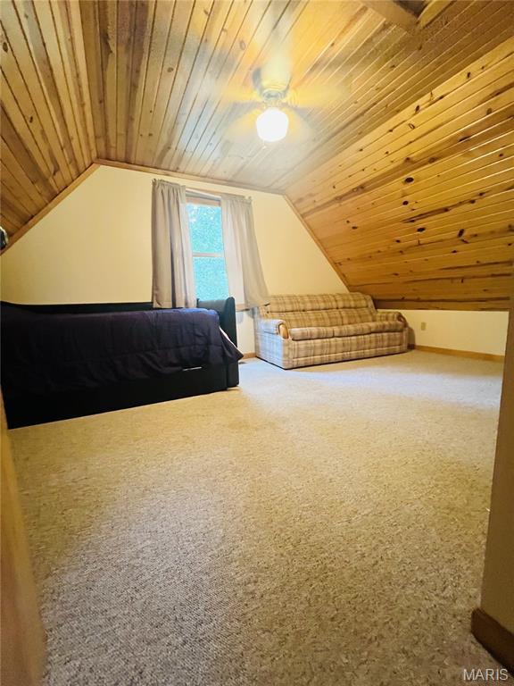 42171 Cedar Crest Pl, Perry, MO 63462 - photo 27