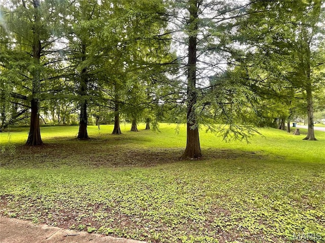 618 Old St, Poplar Bluff, MO 63901 - photo 7