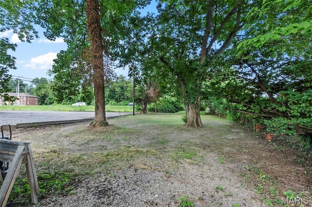 932 Rodney Vista Blvd, Cape Girardeau, MO 63701 - photo 7