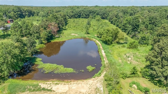5467 Hwy T, Poplar Bluff, MO 63901 - photo 15