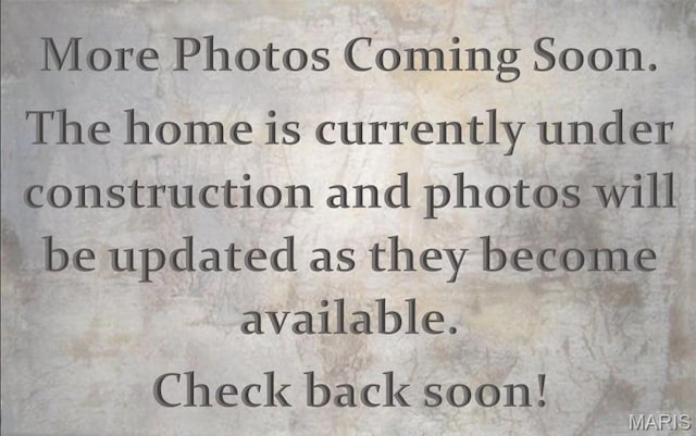 8458 Herrick Park Dr, Troy, IL 62294 - photo 16