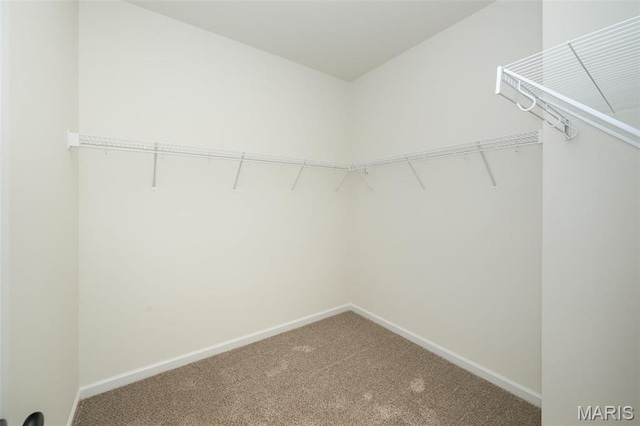 3050 Eagle Branch Cir, Saint Paul, MO 63366 - photo 13