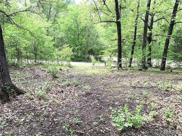 3LOTS Meadowview Dr, New Haven, MO 63068 - photo 5