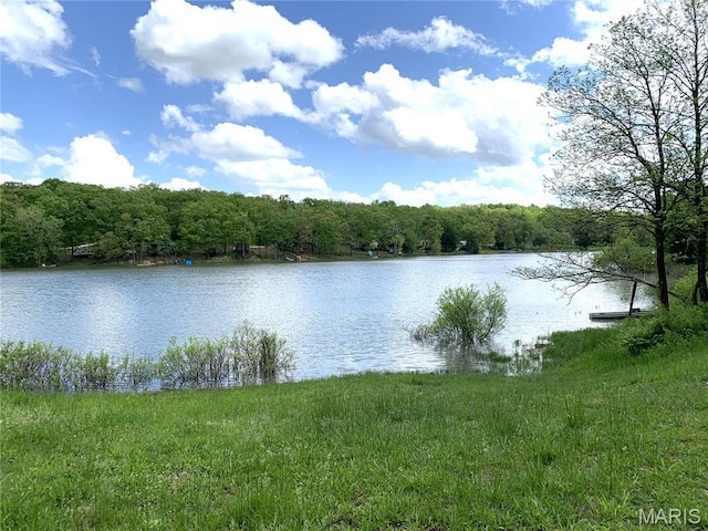 3LOTS Meadowview Dr, New Haven, MO 63068 - photo 18