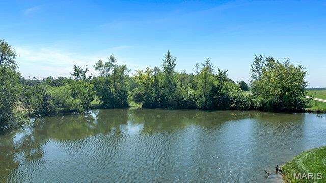27360 The Rock Rd, Wright City, MO 63390 - photo 29