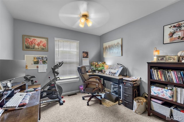 229 Greenbrier Dr, Cape Girardeau, MO 63701 - photo 8