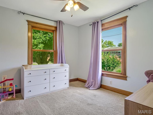 4 N Saint Johns Dr, Smithton, IL 62285 - photo 19