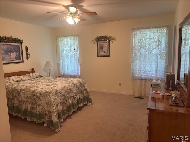 107 Carrington Blvd, Troy, MO 63379 - photo 17