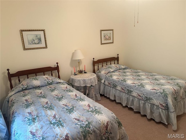 107 Carrington Blvd, Troy, MO 63379 - photo 21