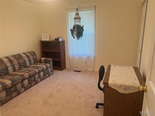 107 Carrington Blvd, Troy, MO 63379 - photo 22