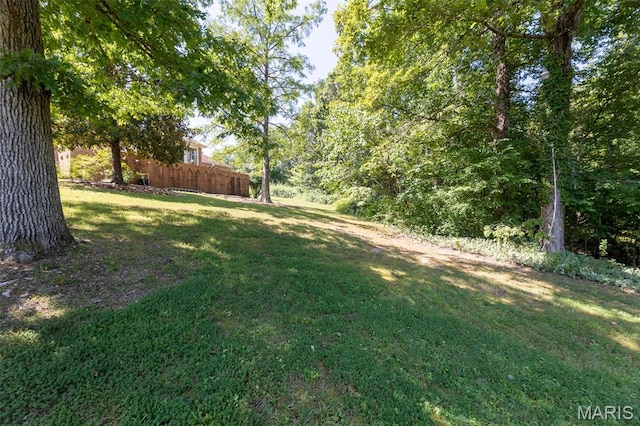 3603 Mclane Dr, Poplar Bluff, MO 63901 - photo 32