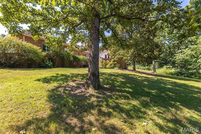 3603 Mclane Dr, Poplar Bluff, MO 63901 - photo 33
