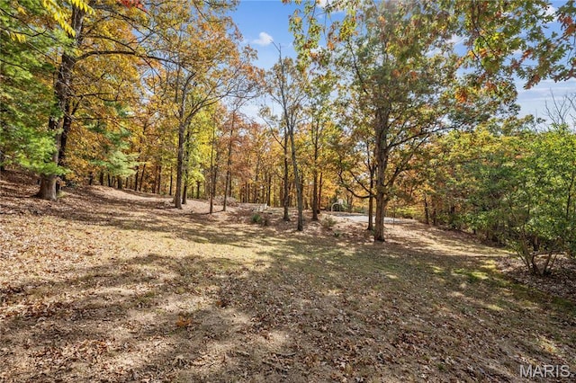 515 Country Ln, Sullivan, MO 63080 - photo 57