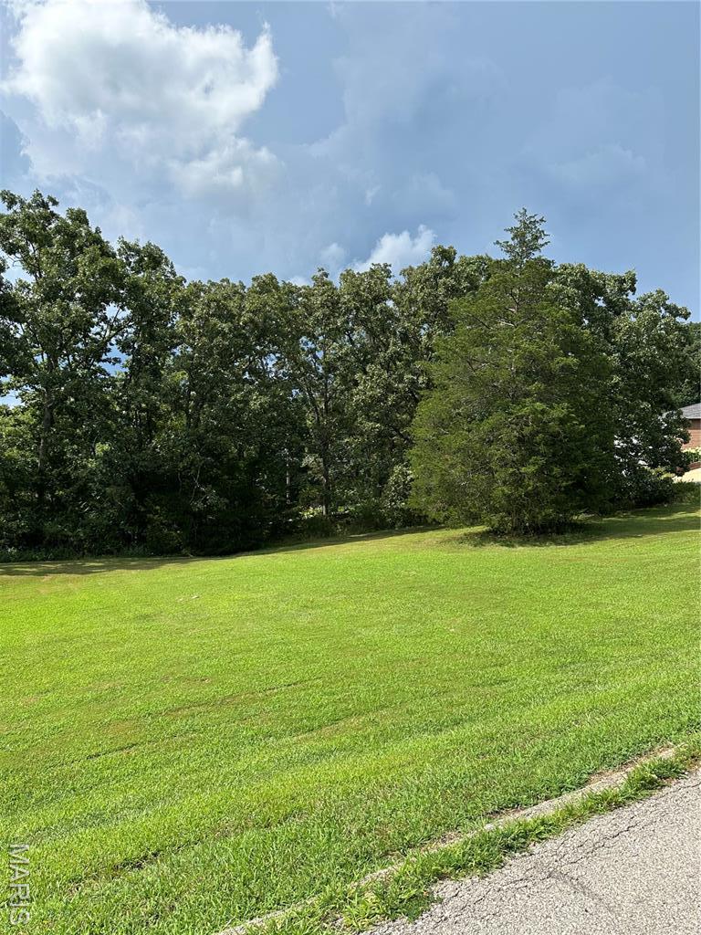 LOT28 Country Ln, Sullivan, MO 63080 - photo 4