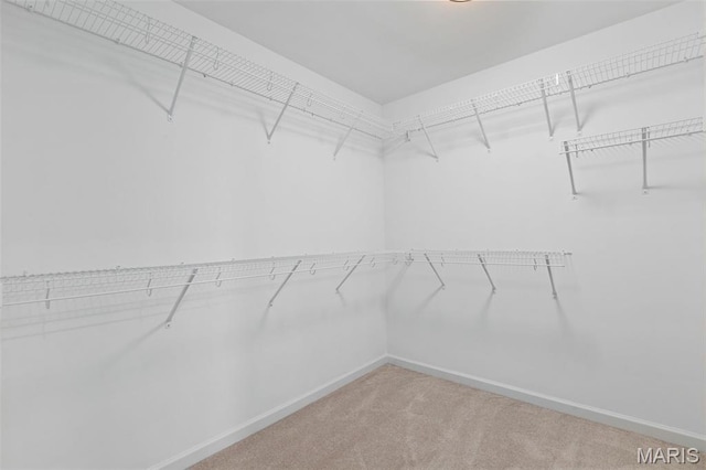 555 Edison Way, Wentzville, MO 63385 - photo 2