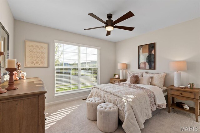 555 Edison Way, Wentzville, MO 63385 - photo 13
