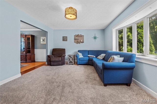 30 Spring Brook Dr, Glen Carbon, IL 62034 - photo 8