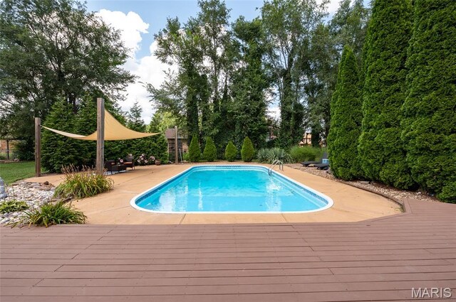 30 Spring Brook Dr, Glen Carbon, IL 62034 - photo 37