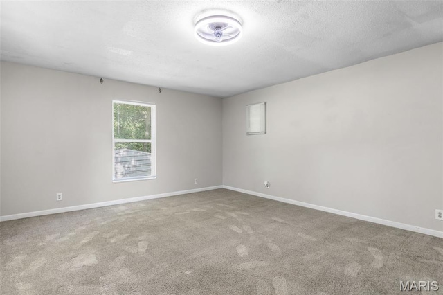 1013 E Karsch Blvd, Farmington, MO 63640 - photo 22
