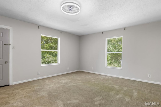 1013 E Karsch Blvd, Farmington, MO 63640 - photo 23