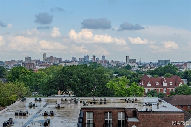 4466 W Pine Blvd Unit 10F, Saint Louis, MO 63108 - photo 30