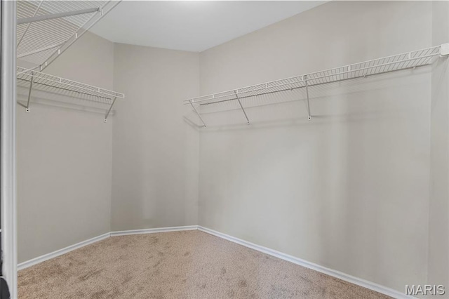 795 Seven Hills Ln, Saint Charles, MO 63304 - photo 20