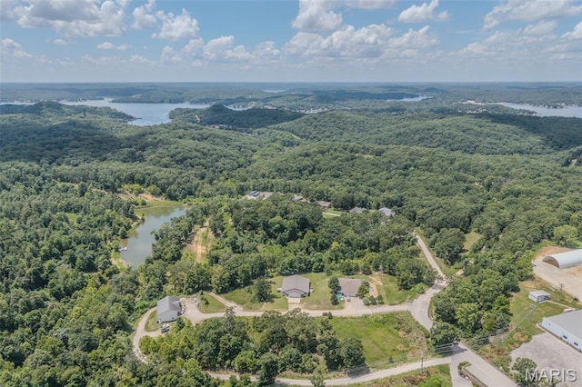 65-67 Dove Ln, Sunrise Beach, MO 65079 - photo 9