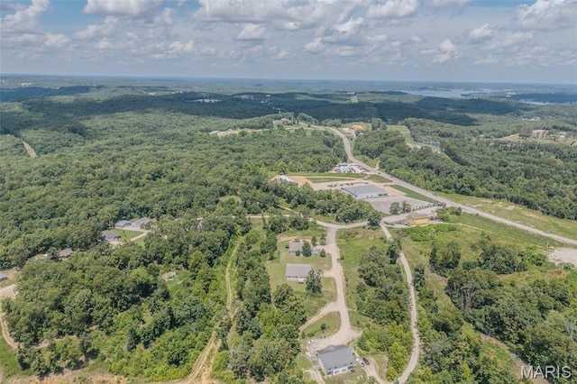 65-67 Dove Ln, Sunrise Beach, MO 65079 - photo 11