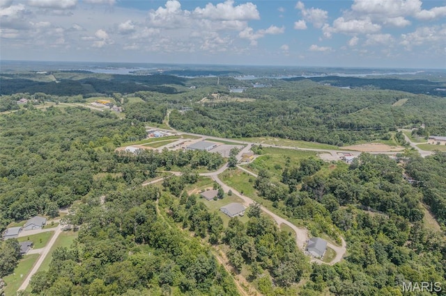 65-67 Dove Ln, Sunrise Beach, MO 65079 - photo 12