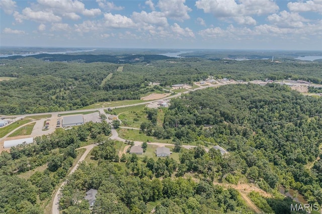 65-67 Dove Ln, Sunrise Beach, MO 65079 - photo 13