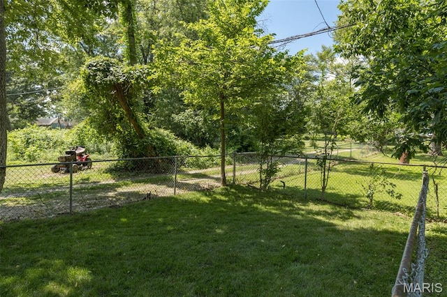 1204 Center St, Bismarck, MO 63624 - photo 11