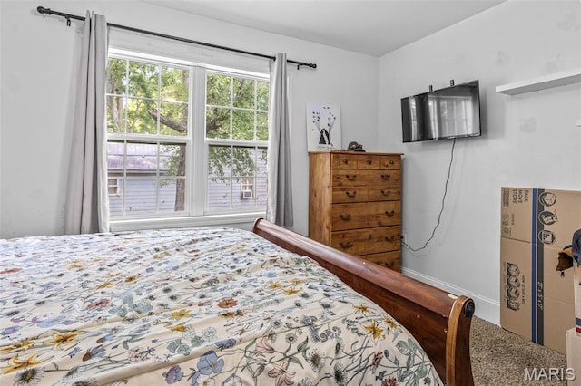 1204 Center St, Bismarck, MO 63624 - photo 18