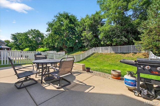 1317 New Charter Ln, Ofallon, MO 63366 - photo 23
