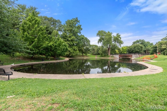 3138 Illinois Ave, Saint Louis, MO 63118 - photo 48