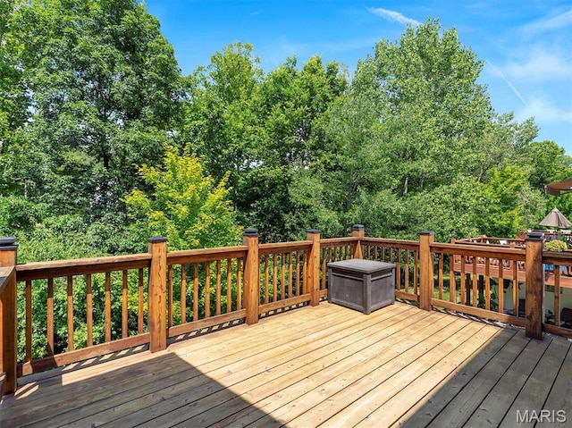 6829 Eagles Landing Ct, Pacific, MO 63069 - photo 31