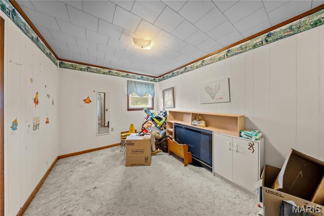 17618 County Road 102, Campbell, MO 63933 - photo 19