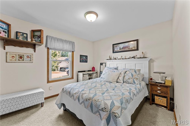 33 Pebblestone Ct, Troy, MO 63379 - photo 44