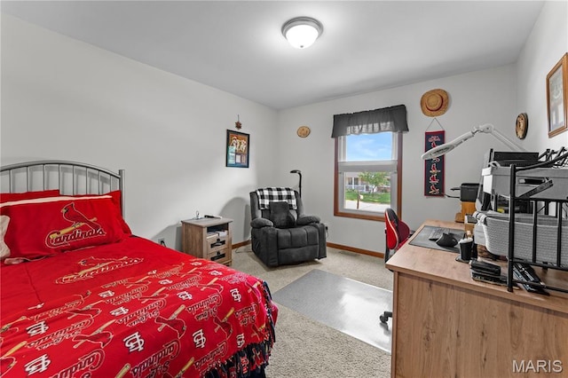 33 Pebblestone Ct, Troy, MO 63379 - photo 57