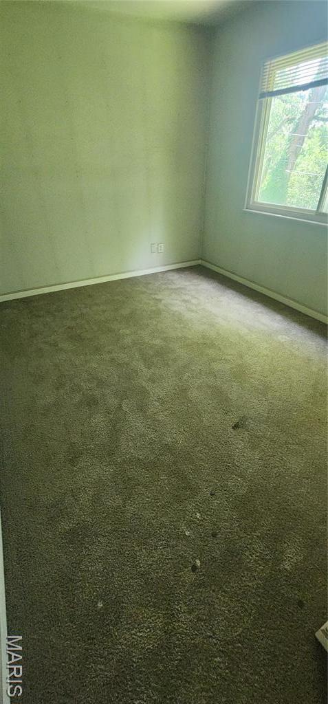2225 Spoonwood Ln, Florissant, MO 63033 - photo 10
