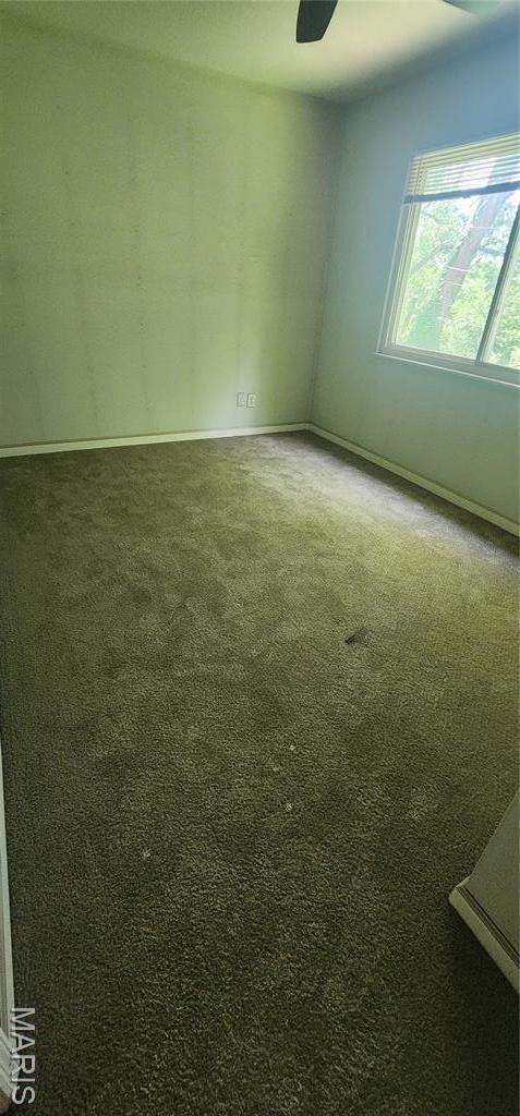 2225 Spoonwood Ln, Florissant, MO 63033 - photo 11