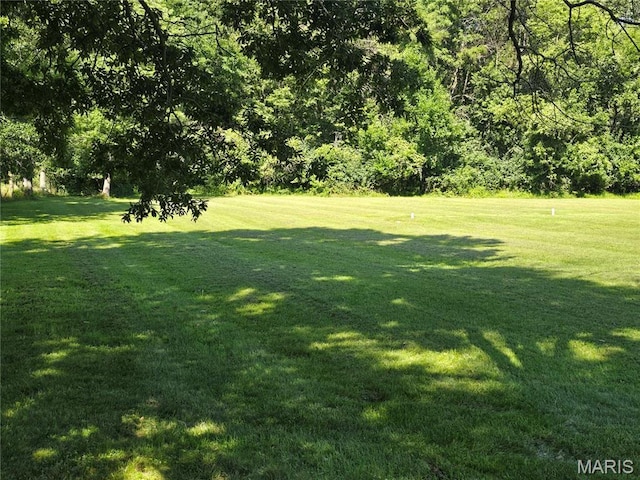 567 Lakecrest Trl, Hillsboro, IL 62049 - photo 7