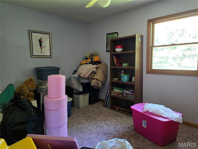 567 Lakecrest Trl, Hillsboro, IL 62049 - photo 22