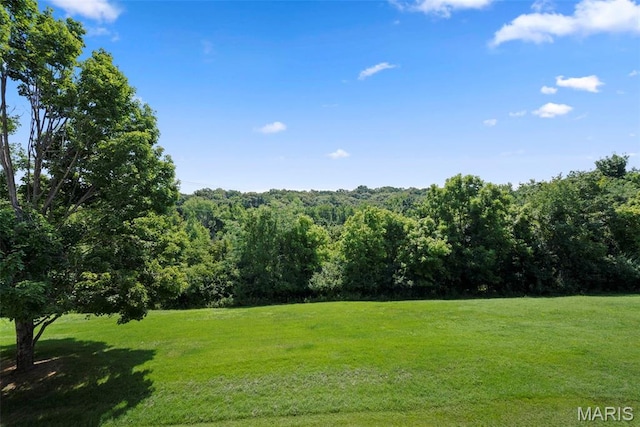 1342 Cliffridge Ln, Valley Park, MO 63088 - photo 47