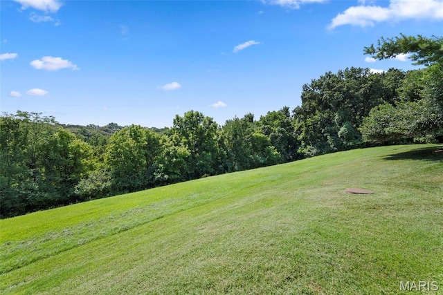 1342 Cliffridge Ln, Valley Park, MO 63088 - photo 48