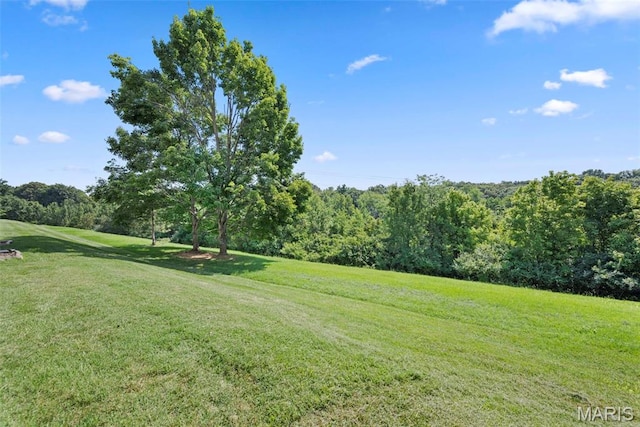 1342 Cliffridge Ln, Valley Park, MO 63088 - photo 49