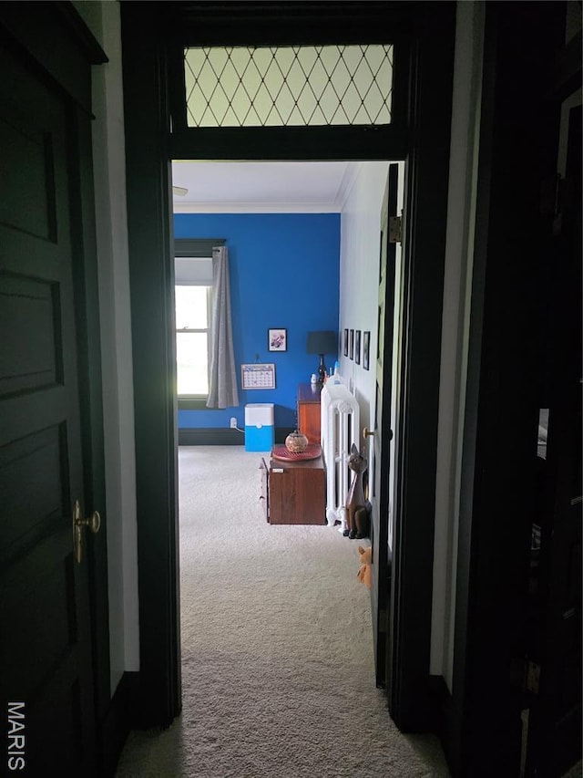 416 N Main St, Trenton, IL 62293 - photo 10